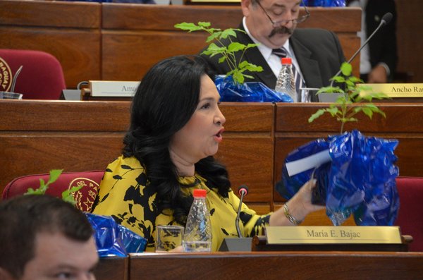La senadora Bajac podría perder su investidura por ser pastora