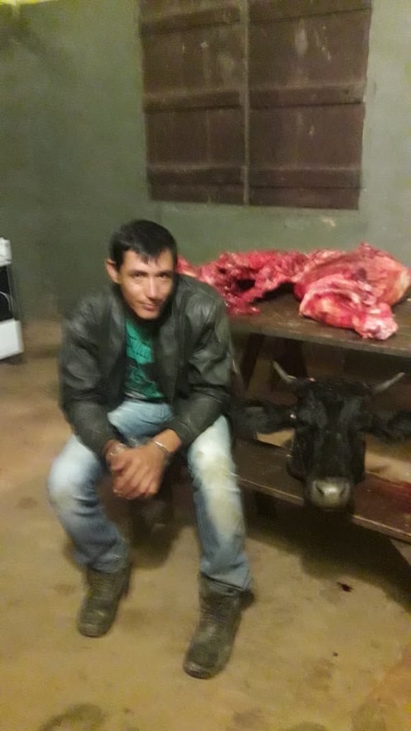 Llevaba una  vaca faenada  en una moto