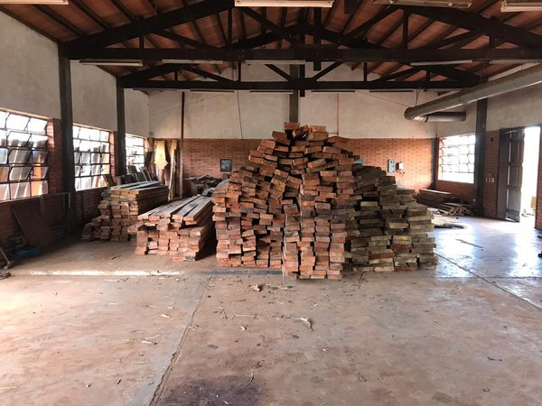 Piden prisión preventiva para supuestos responsables de cortar árboles en San Rafael - ADN Paraguayo