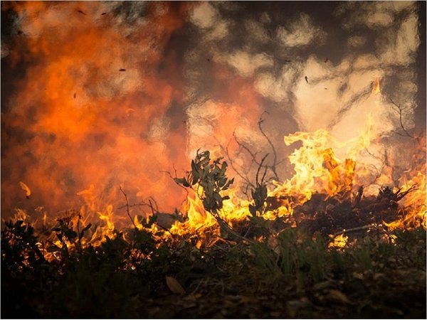 Inventan una tela sintética para salvar vidas en incendios forestales