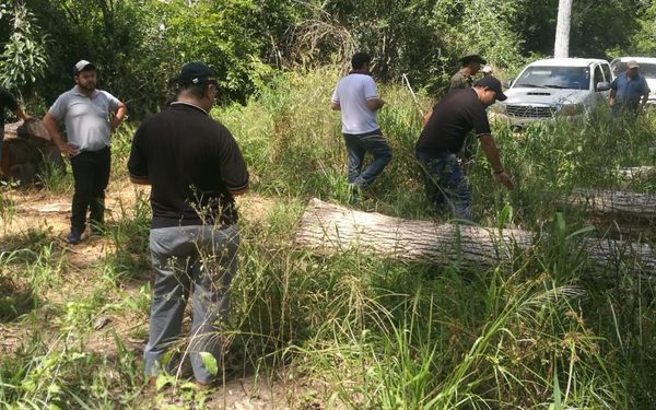 COLACEM abre senderos en bosques nativos de Concepción para instalar su cementera