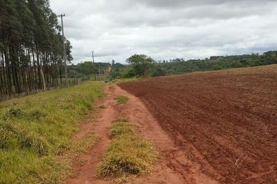 Investigan caso de mujer hallada muerta en sojal de Alto Paraná