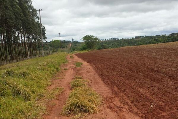 Investigan caso de mujer hallada muerta en sojal de Alto Paraná