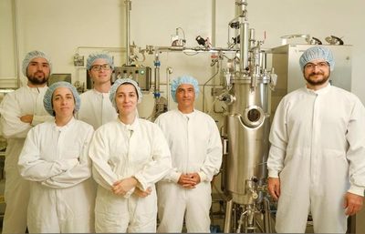 Desarrollan en Argentina un hongo con mejor proteína que la carne » Ñanduti