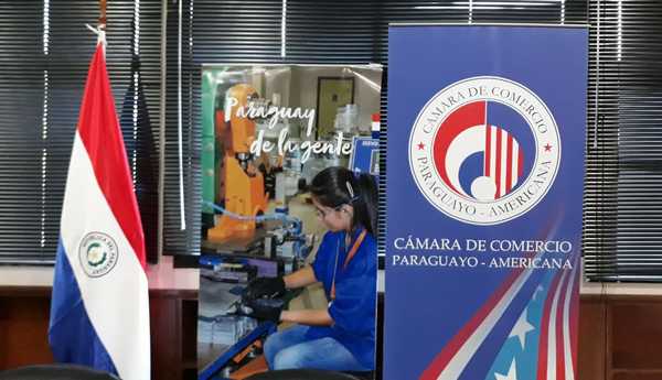 Ejecutivo presenta al Senado proyectos para reactivar economía - .::RADIO NACIONAL::.