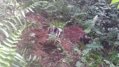 Colonia Yguazu: Buscan a familiares de la mujer descuartizada » Ñanduti