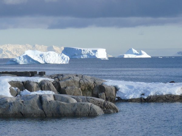 Antártida: El deshielo glaciar por el cambio climático desaliniza mares