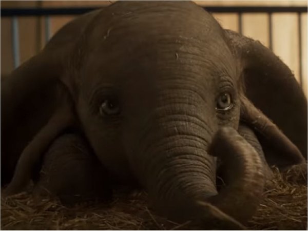 La película Dumbo fue grabada sin elefantes en el set