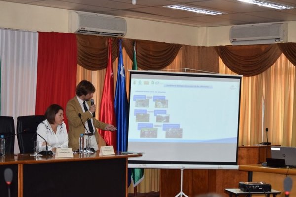 Itapúa, segundo en casos confirmados de dengue | Paraguay en Noticias