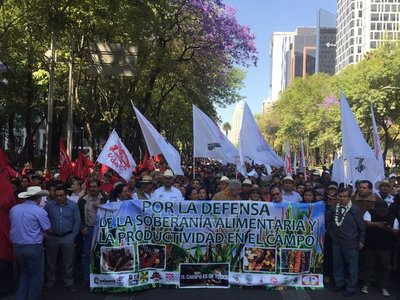 Payo Cubas planteará eliminar la ley del marchódromo