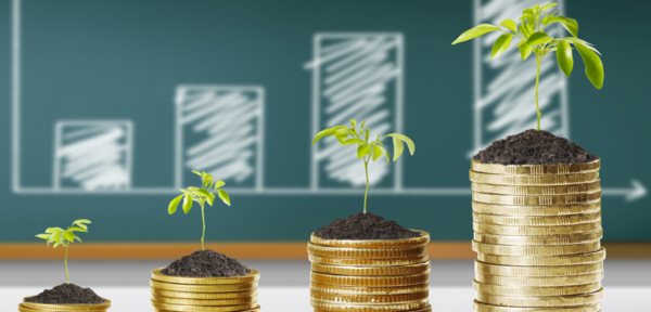 Las finanzas locales podrían definir nuevo mercado para productos verdes » Ñanduti