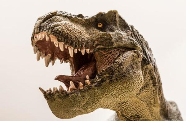 Encuentran el Tiranosaurio Rex más grande de la historia - C9N