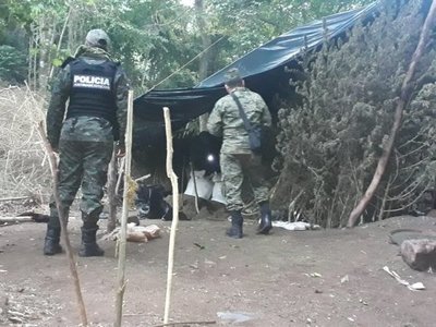 Dos detenidos y diez hectáreas de marihuana destruidas | Paraguay en Noticias 