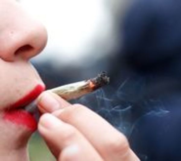 Payo presenta proyecto para legalizar cultivo y consumo de marihuana - Paraguay.com