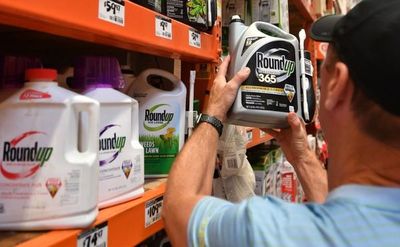 Monsanto, condenado a pagar US$ 81 millones