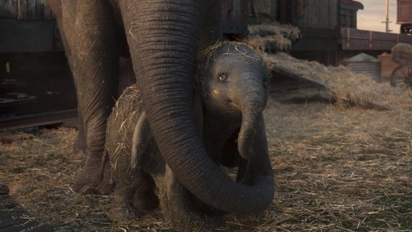 Dumbo (3D y 2D) - Espectaculos - ABC Color