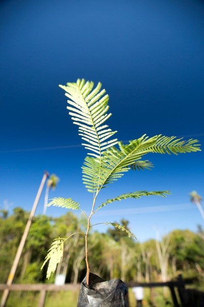 Gira de monitoreo del proyecto ecológico “Ybytyruzú Respira”