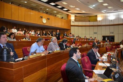 Aprueban en particular con modificación el proyecto “Ñande Energía” - ADN Paraguayo