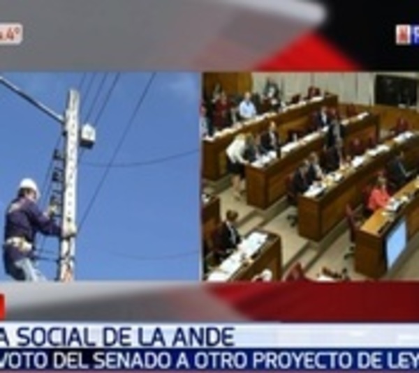 Ñane Energía: Aprueban proyecto que reduce tarifa de la ANDE - Paraguay.com