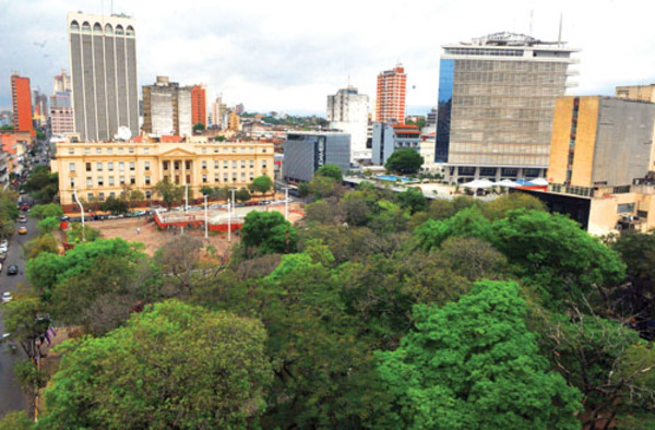 Municipalidad plantea realizar un censo arbóreo en toda la ciudad de Asunción » Ñanduti
