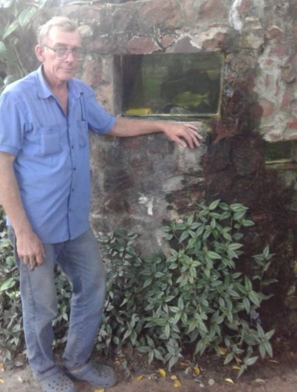 Aparición de peces es un fenómeno anual, según experto | Paraguay en Noticias