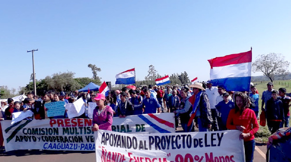 Tras manifestaciones, Senado aprueba ley que reduce tarifa de energía eléctrica