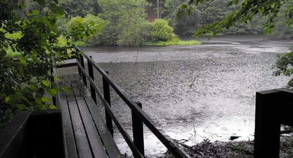 Ecuador amplía ayuda económica del Gobierno para afectados por la temporada lluviosa | .::Agencia IP::.