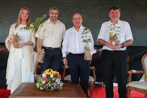 En alianza con el WRI, Paraguay crea el primer Atlas Forestal de América del Sur