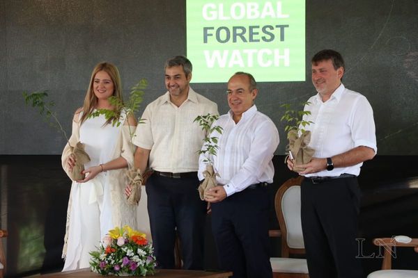 Paraguay tendrá el primer Atlas Forestal de la región