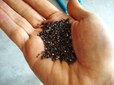 Proyecto de Reglamento para certificación de semillas de chía - Edicion Impresa - ABC Color