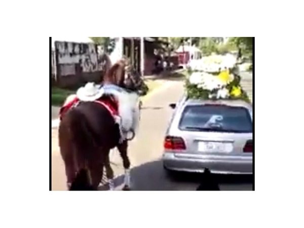 VIDEO: Conmovedora despedida de un caballo a su jinete