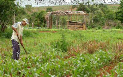 FAO apoya Plan Nacional para Reducción de Pobreza - .::RADIO NACIONAL::.