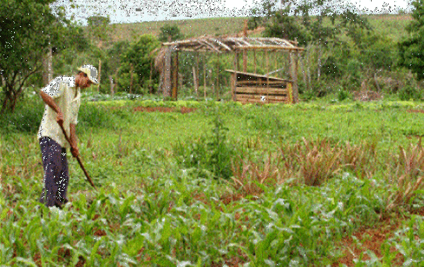 FAO apoya Plan Nacional para Reducción de Pobreza - .::RADIO NACIONAL::.