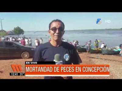 Mortandad de peces en Concepción
