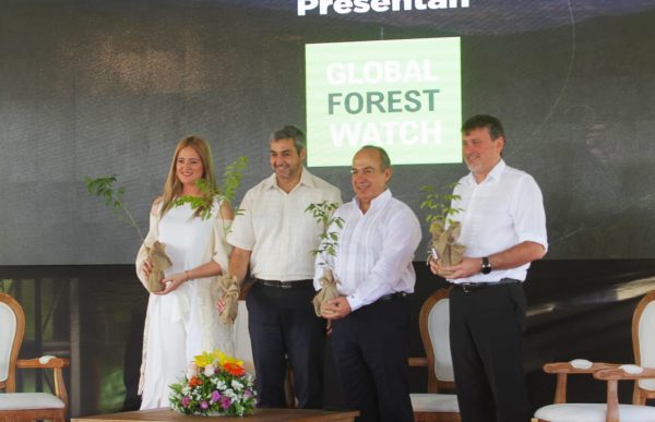 INFONA busca mitigar impacto de deforestación mediante observador forestal