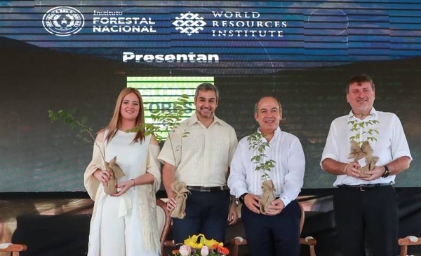 Está el satélite para captar la deforestación y desastres, ¿Es el fin de la impune depredación?
| Paraguay en Noticias