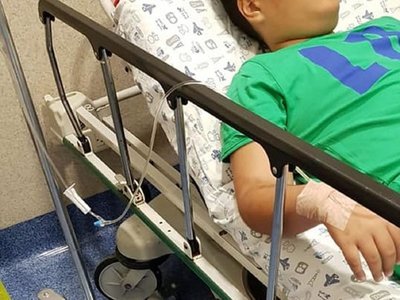 Denuncian intoxicación de niños y profesores tras excursión a granja