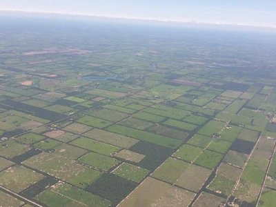 Paraguay controlará deforestación con imágenes de satélite en tiempo real | Paraguay en Noticias 