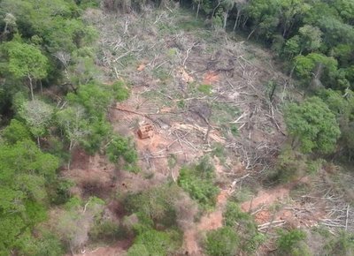 Paraguay tendrá visión satelital para el control continuo de los bosques » Ñanduti