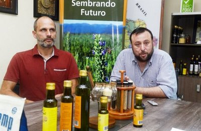 Consideran al cannabis un “rubro revolucionario” de la agricultura - Edicion Impresa - ABC Color