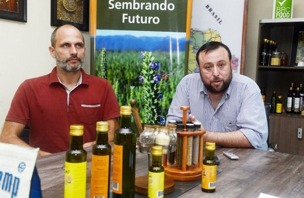 Consideran al cannabis un “rubro revolucionario” de la agricultura - Edicion Impresa - ABC Color
