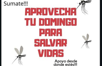 Mañana, “Día D” contra el Dengue en Alto Paraná