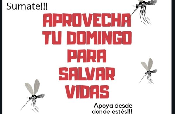 Mañana, “Día D” contra el Dengue en Alto Paraná