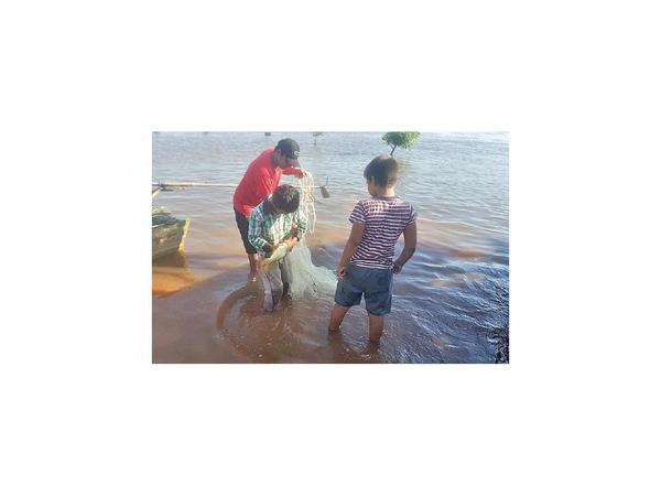 Concepción: Aumenta mortandad de peces