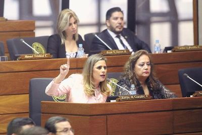 Proponen comisionamiento