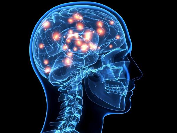 Encuentran plaga de larvas en su cabeza - ADN Paraguayo
