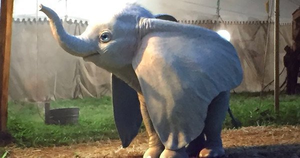 El "Dumbo" de Tim Burton amplia la historia original con conflictos humanos » Ñanduti