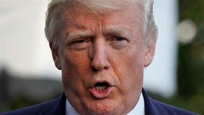 Trump llama
