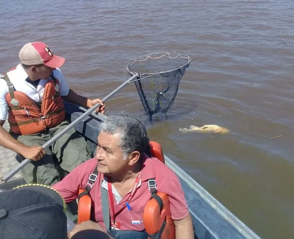 Mortandad de peces es investigada por Fiscalía