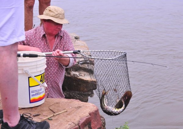 Falta oxígeno, peces mueren - Nacionales - ABC Color